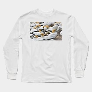 A colony of Gannets Long Sleeve T-Shirt